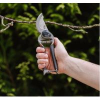 Secateurs
