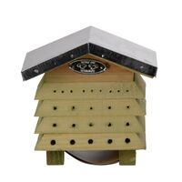 Bee Hive