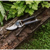 Secateurs