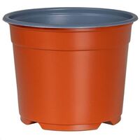 3 litre pot