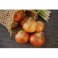Radar Onion Sets