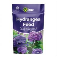 Hydrangea Feed