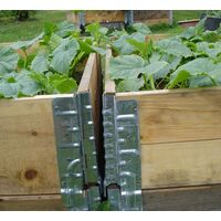 Raised Bed