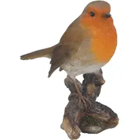 Perched Robin