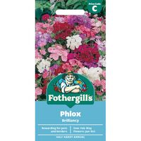PHLOX Brilliancy Mr Fothergills Seeds