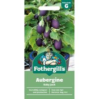 AUBERGINE Baby Jack Mr Fothergills Seeds