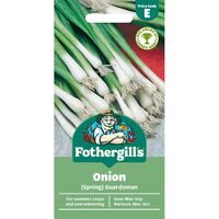 ONION (Spring) Guardsman Mr Fothergills Seeds