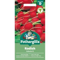 RADISH Celesta F1 Mr Fothergills Seeds
