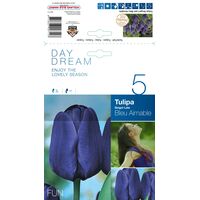 Tulip Bleu Aimable