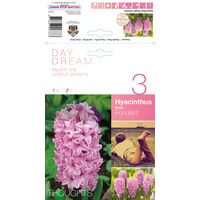 Hyacinth Fondant Bulbs