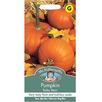 Pumpkin Seeds