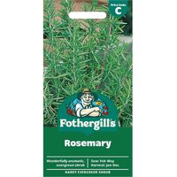 Rosemary Seeds