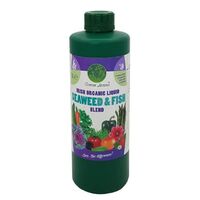 Seaweed Feed