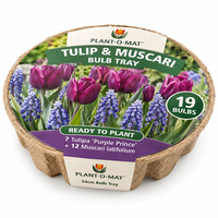 Tulip & Muscari Bulb Tray
