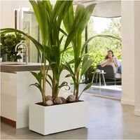 Long Garden Planter