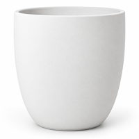 Shining Elegant Pot