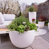 Garden Light Shining Curvy Pots