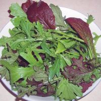 Oriental Salad Seeds