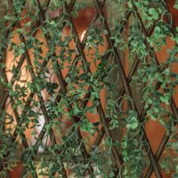 Willow Border Fencing Trellis