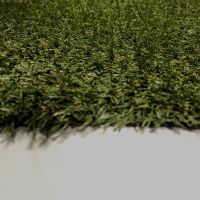 Artificial Grass