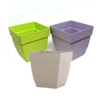 Square Flower Pot