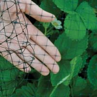 Garden Netting