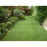 Artificial Grass