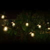 Solar Garden Light