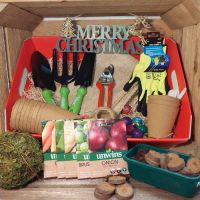 Gardeners Hamper