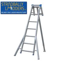Tripod Step Ladder