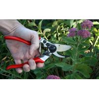 Felco 9 Left Handed Secateurs