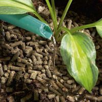 Slug Stop Organic Barrier Pellets