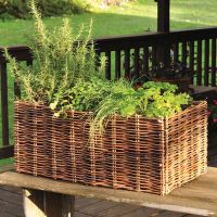 Willow Planter