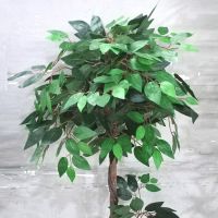 Artificial Fig Tree