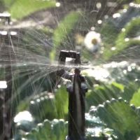 Rotor Spray™ Sprinkler Kit