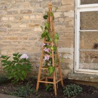 Garden Obelisk