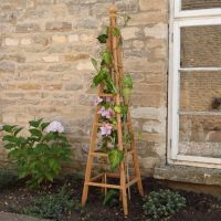 Garden Obelisk