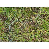 Ground Reinforcement Grids