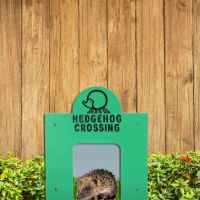 Hedgehog Crossing