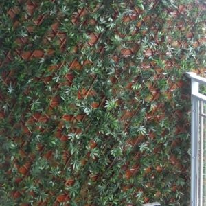 Expanding Leaf Trellis