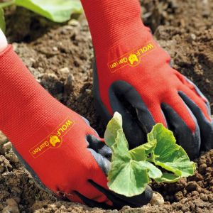 Gardeners Gloves