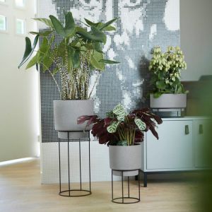 Indoor Plant Pots