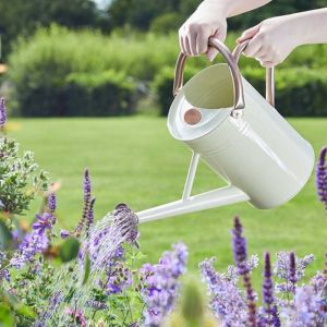 Metal Watering Can