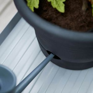 Tomato Grow Pot