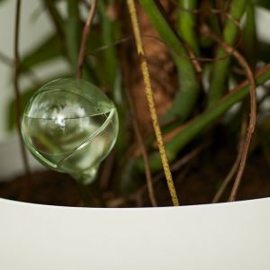 Watering Globes