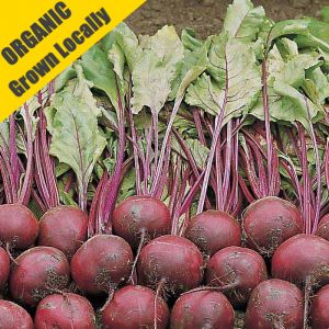 Beetroot Plants