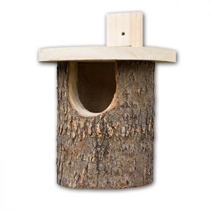 Bird House