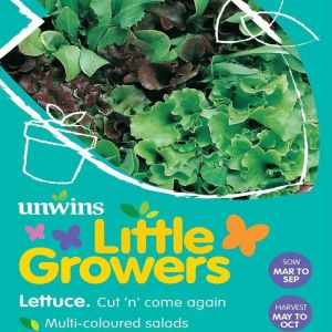 Lettuce Seeds