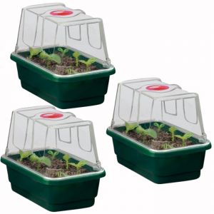 Mini Dome Propagator