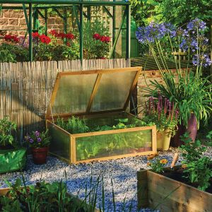 Cold Frame